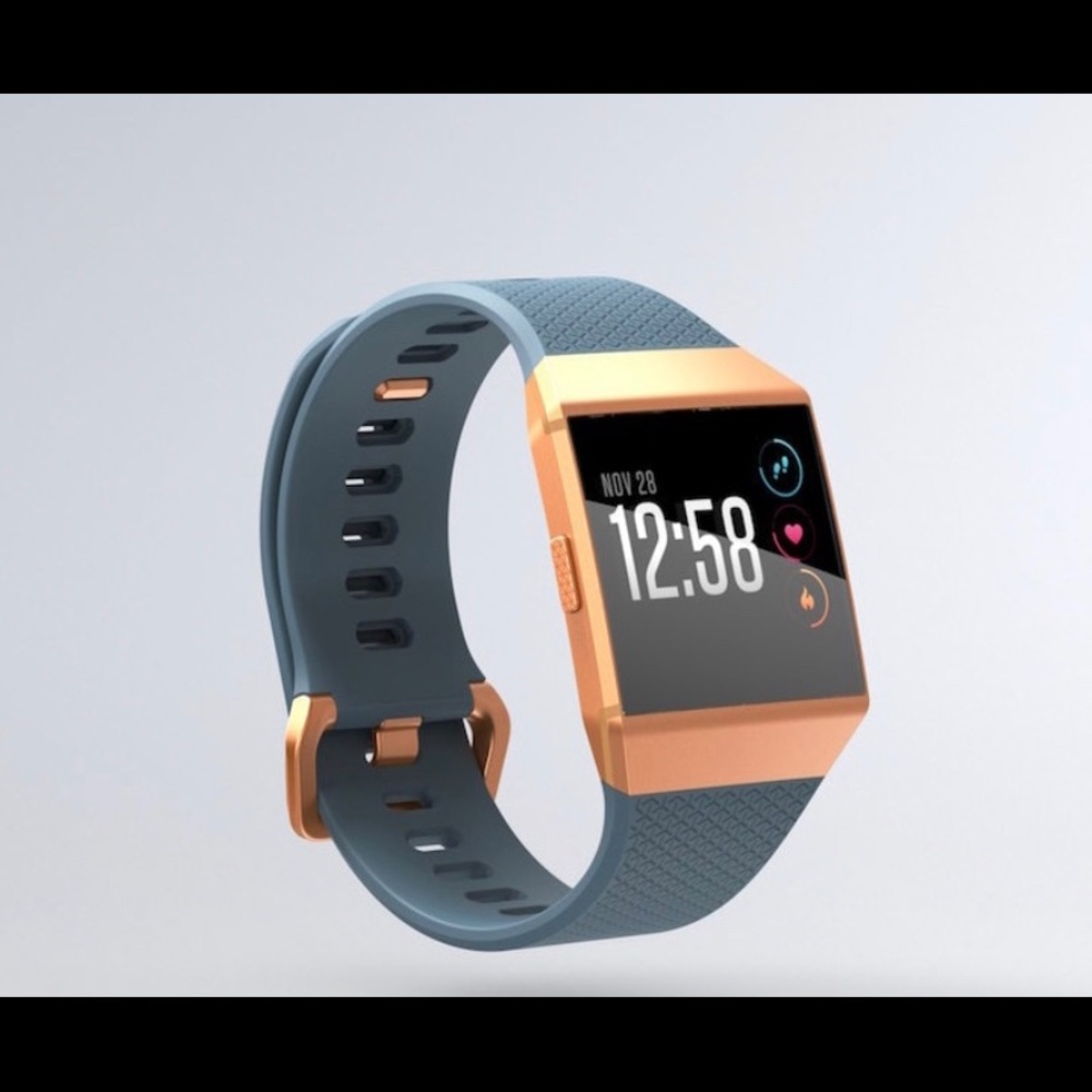 Slate Blue and Burnt Orange Fitbit Ionic